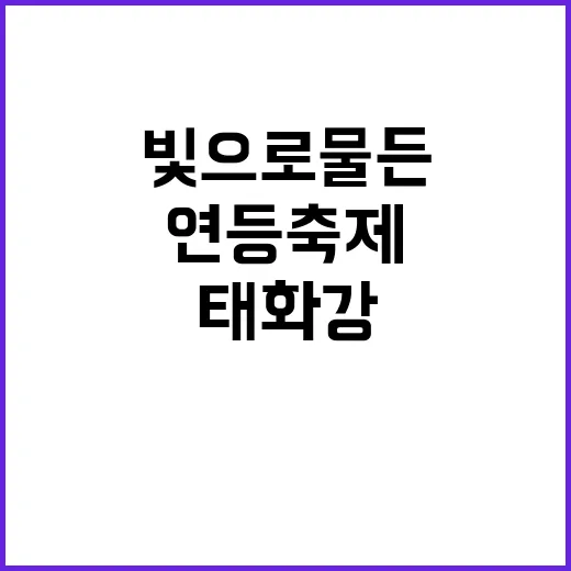 빛으로 물든 태화강…