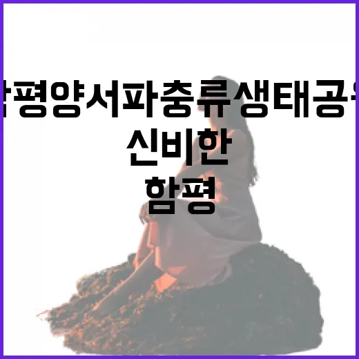 함평 양서파충류생태공원, 신비한 생명체와의 만남