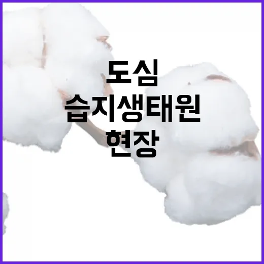 도심 속 생태 정화의 현장, 수내습지생태원