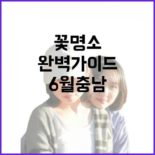 6월 충남 꽃명소 완벽 가이드