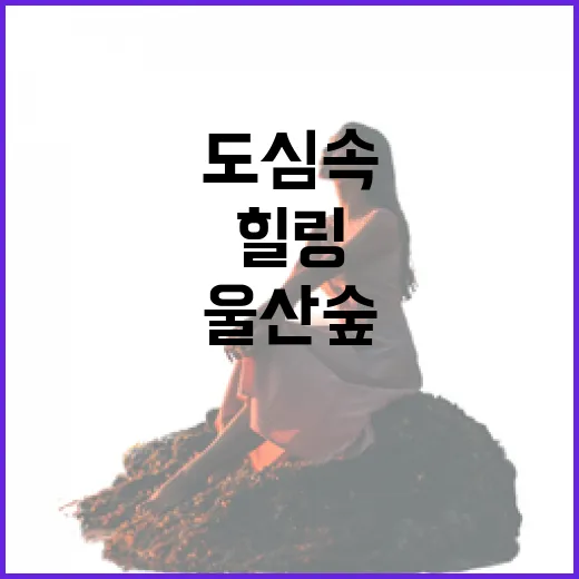 울산숲, 도심 속 자연 힐링 명소