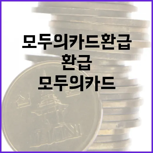 모두의 카드 환급 27.3% 증가