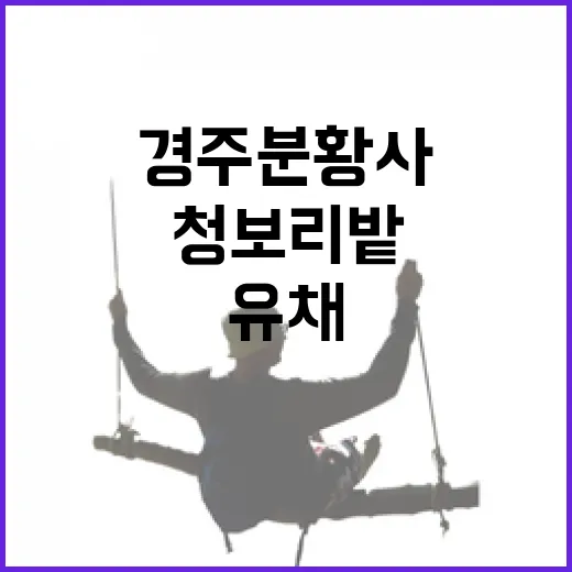 경주 분황사 유채·청보리밭 유모차 산책길