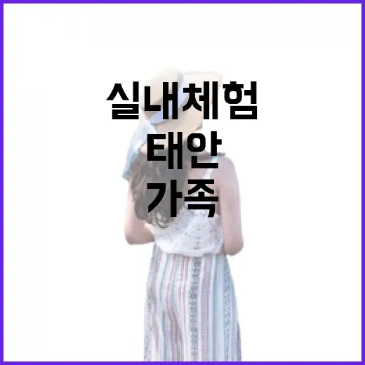 태안 어린이과학관, 가족 실내 체험 명소
