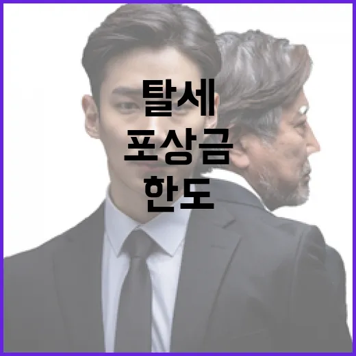 탈세 포상금 한도 폐지 논란 사실관계