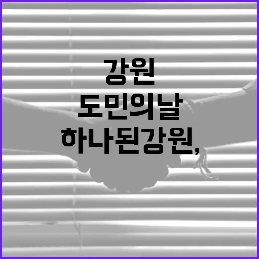 하나 된 강원, 도민의 날 축제 현장