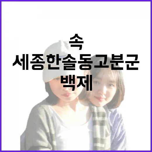 세종 한솔동 고분군, 도심 속 백제 역사 명소
