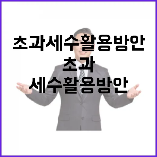초과세수 활용 방안, 아직 결정 안 됐다
