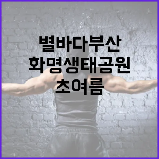 초여름 밤, 화명생태공원 별바다부산 야시장