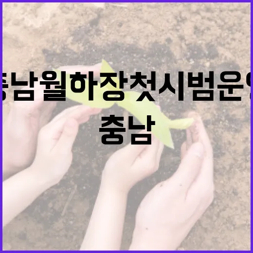 충남 월하장 첫 시범운영, 양식어류 고수온 피해 줄인다