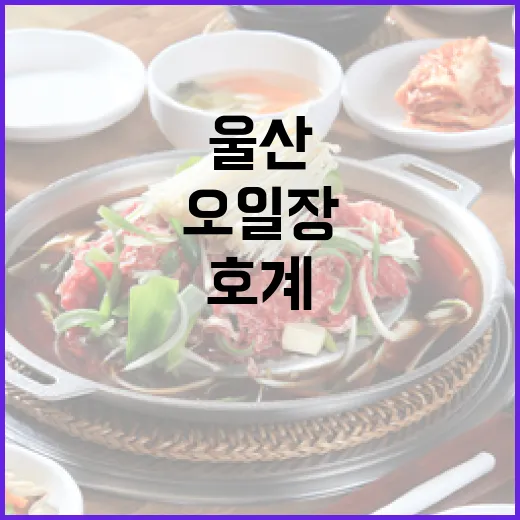 울산 호계 오일장, 전통시장 활기 가득