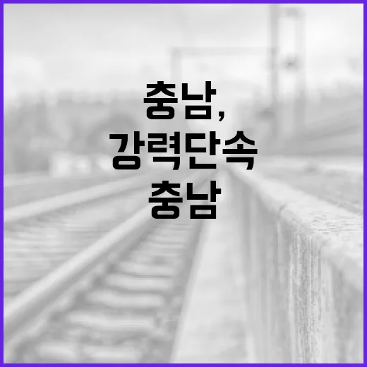 충남, 여름철 위험구역 무단 출입 강력 단속