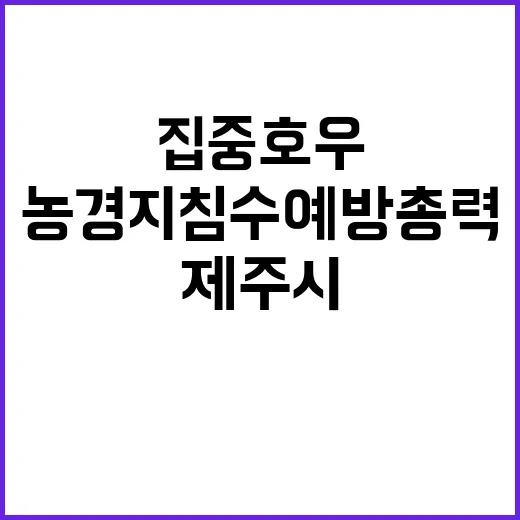 전 국민 13.5조 소비쿠폰으로 민생회복