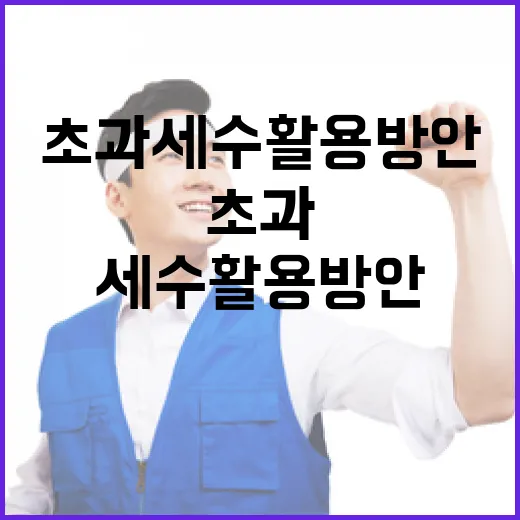 초과세수 활용방안, 아직 결정된 바 없다