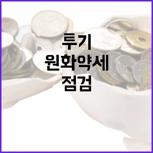 원화 약세 속 투기 의심 행위 집중 점검