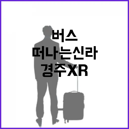 경주 XR 버스로 떠나는 신라 역사 체험