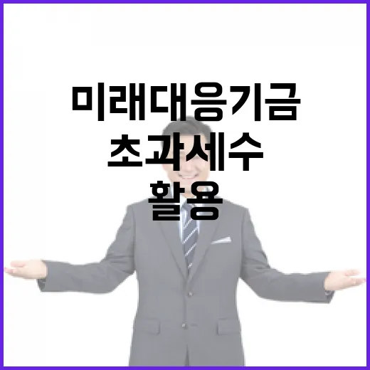 미래대응기금 신설 등 초과세수 활용, 아직 결정 안 돼