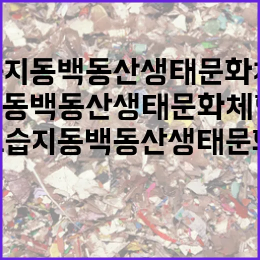 람사르습지 동백동산 생태문화체험 행사 개최