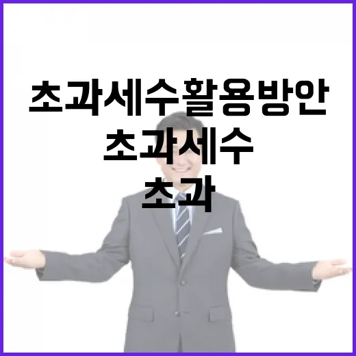 초과세수 활용 방안 아직 미정