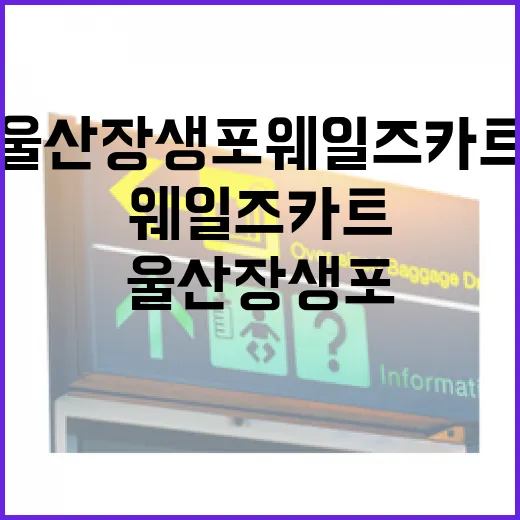 울산 장생포 웨일즈카트 체험기