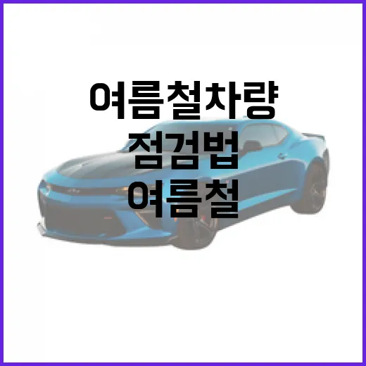 여름철 차량 필수 점검법