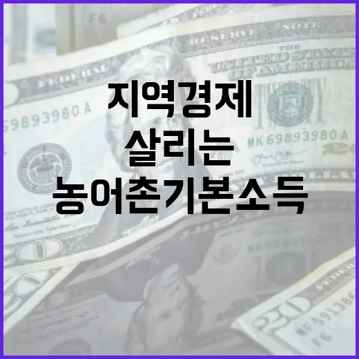 농어촌 기본소득, 지역경제 살리는 원칙과 개선 계획