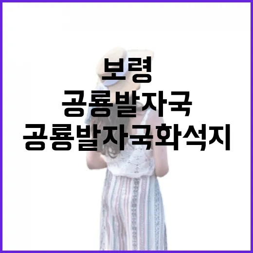 보령 공룡발자국 화석지의 비밀