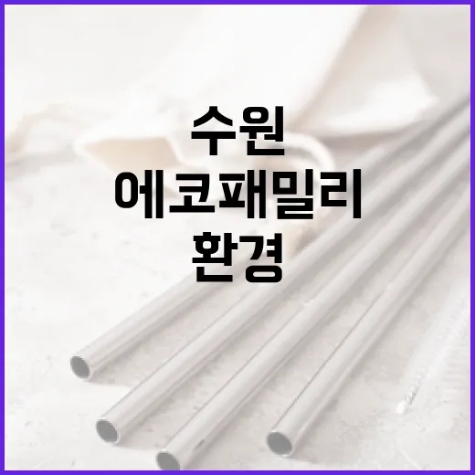 수원 에코패밀리 캠프, 단풍잎돼지풀 제거로 환경보호 실천