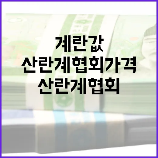 산란계협회 가격정보 제공과 계란값 상승은 별개