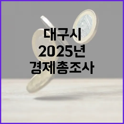 대구시, 2025년 경제총조사 본격 착수