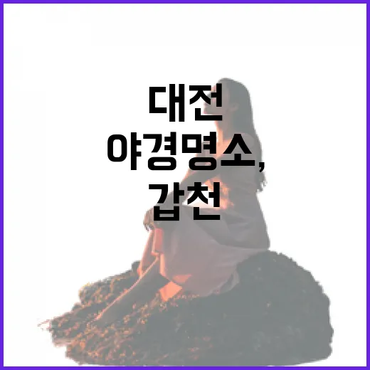 대전 갑천 야경 명소, 수상스포츠 야간개장