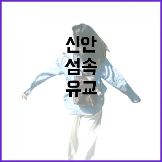 섬 속 유교 문화의 숨결, 신안 지도향교