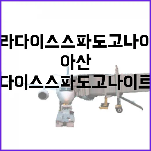 아산 파라다이스 스파 도고 나이트스파의 매력