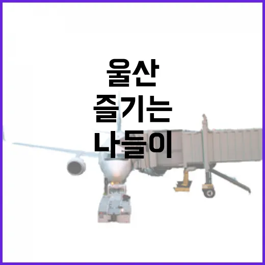 울산마차로 즐기는 시원한 초여름 나들이