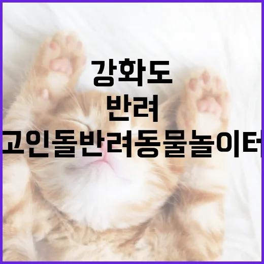강화도 고인돌 반려동물놀이터 체험기