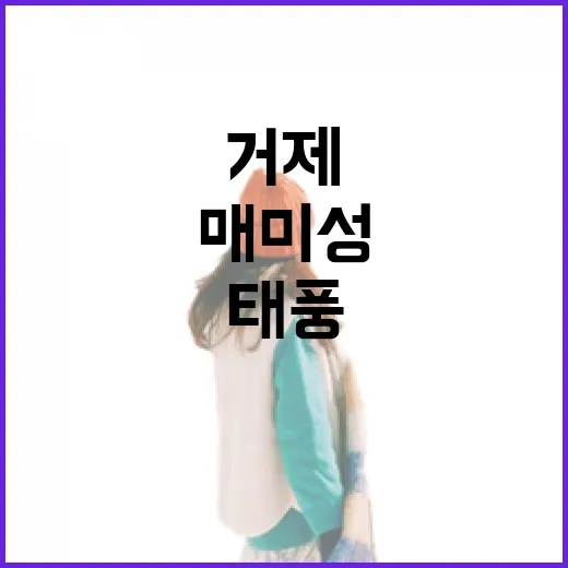 거제 매미성, 태풍 상처를 딛고 선 희망의 성