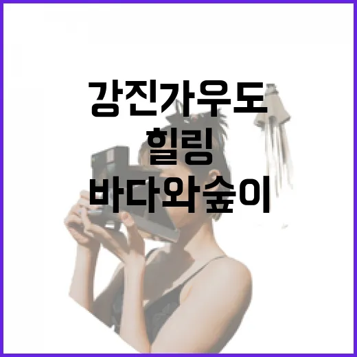 강진 가우도, 바다와 숲이 빚은 힐링 섬