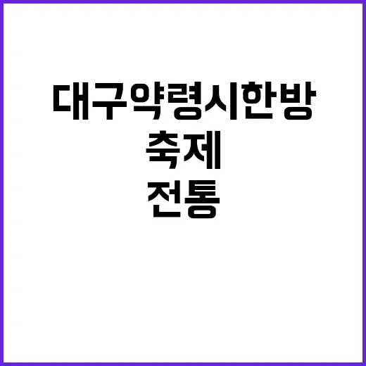 전통과 체험 어우러진 대구 약령시 한방축제