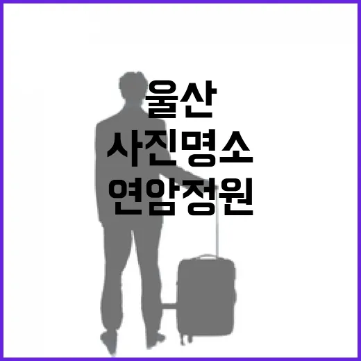 울산 연암정원, 자연과 사진 명소의 만남