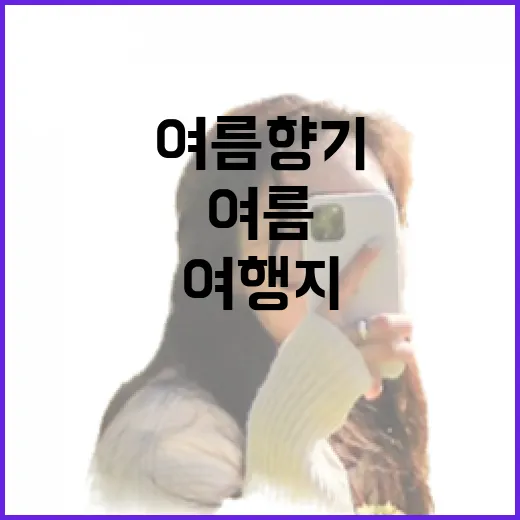 전남의 여름 향기 가득한 여행지