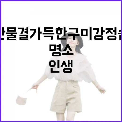노란 물결 가득한 구미 강정 습지 인생샷 명소