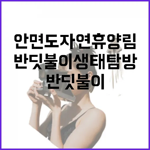 안면도 자연휴양림 반딧불이 생태탐방