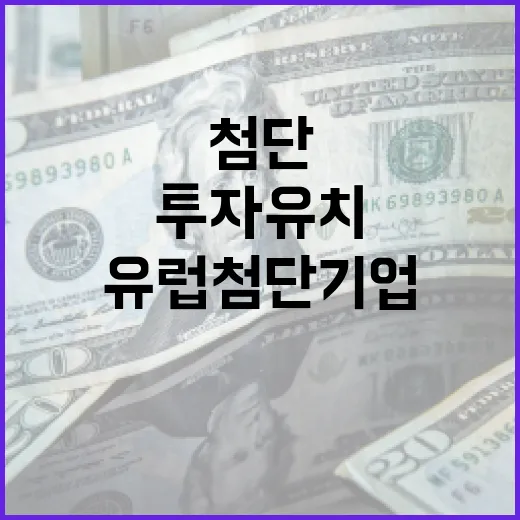 한국, 유럽 첨단기업 4곳서 1억6500만 달러 투자 유치