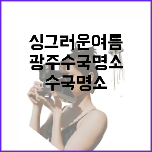 광주 수국 명소에서 만나는 싱그러운 여름