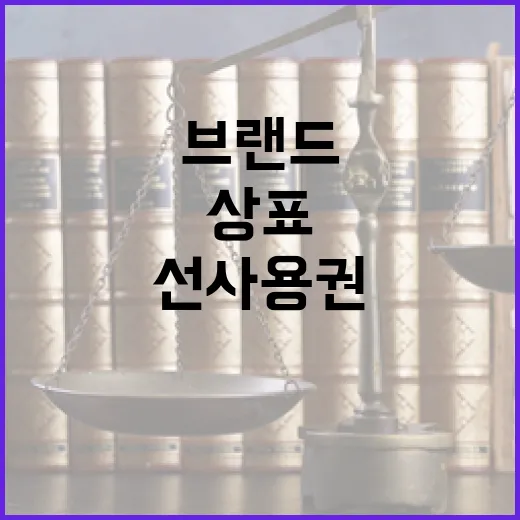 브랜드 지키기, 상표 등록과 선사용권의 진실