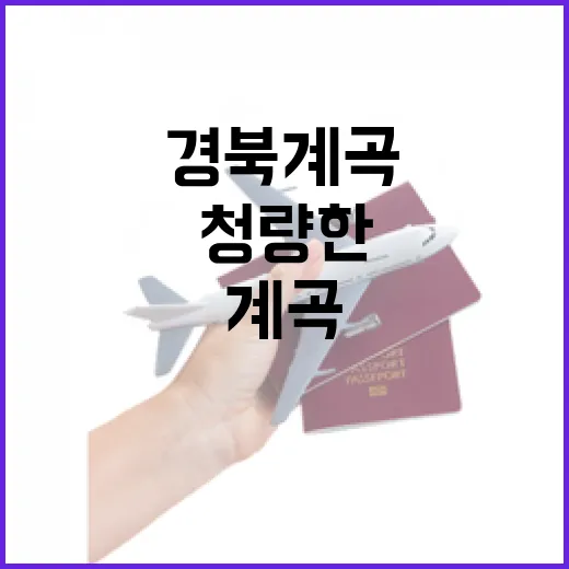 경북 계곡에서 만나는 청량한 여름
