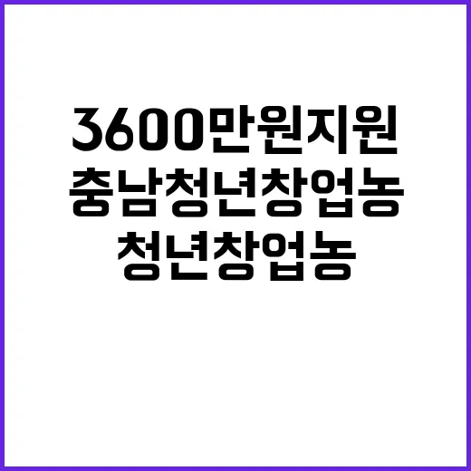충남 청년창업농 3…