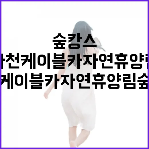 사천 케이블카 자연휴양림 숲캉스 명소