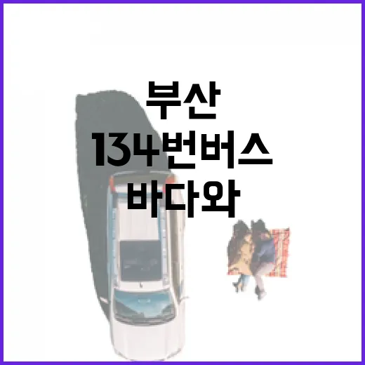 부산 134번 버스, 바다와 역사를 잇다