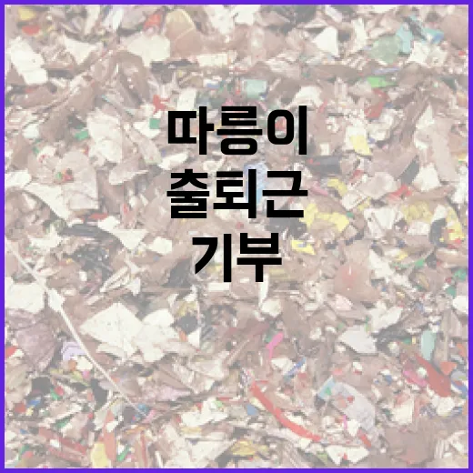 따릉이 출퇴근으로 기부까지 실천